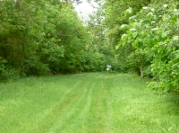 Area of thicket