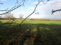Wide ride to wood