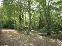 Oaters Wood - SOLD
