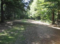 access looking back to Wickham Bishop