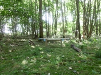 Oldfield Wood - SOLD
