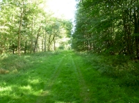 woodland ride