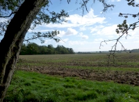 view to field
