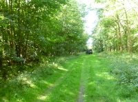 ride to woodland