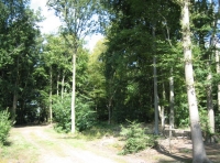 Parish Wood - SOLD