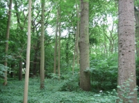 looking south