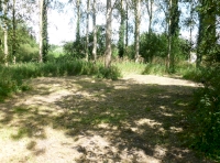 glade