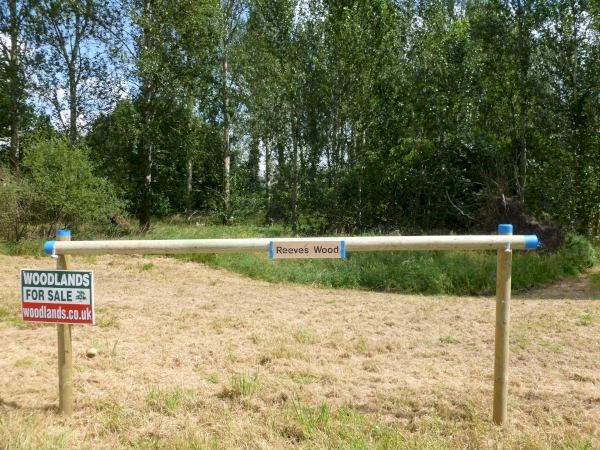 Reeves Wood - SOLD