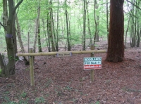 Wide woodland ride