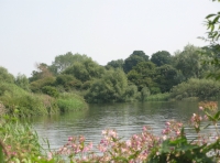 View from river bank