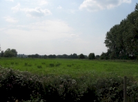 View of farm land