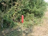 Boundary stake
