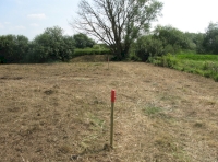 View to river bank