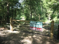 Access from Witham road