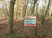 Saxonbury wood name sign
