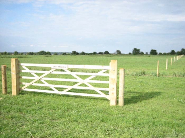 Shire Meadow