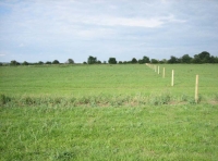 Flat well drained land