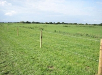 New boundary fence