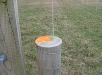 Orange boundary marking