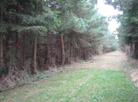 Squires Wood - SOLD