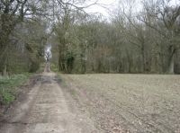 Access track from the road to the woodland in winter