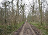 Access track 