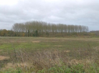 Surlingham Wood - SOLD photo 3