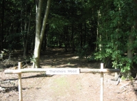 Thatchers Wood - SOLD