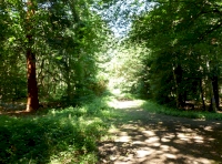 Tiptree Wood - SOLD