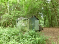 Tolleshunt Wood - SOLD