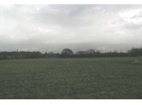 Tye Meadow photo 2