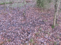 View to field