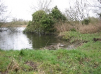 Water Deer Wood photo 12
