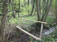 Water Deer Wood photo 2