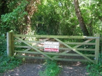 Water Deer Wood photo 3