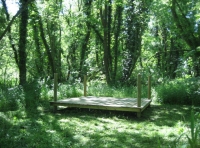 Water Deer Wood photo 4