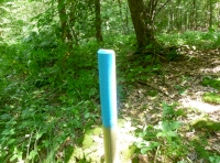 Boundary stake