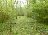 Wuffings Wood