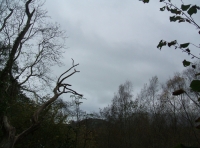 Coed Aber - SOLD photo 3