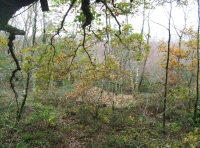 Coed Aber - SOLD photo 4