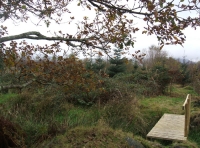 Coed Aber - SOLD photo 5