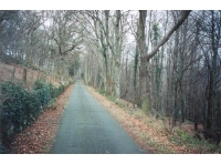 Coed Adarog - SOLD photo 5