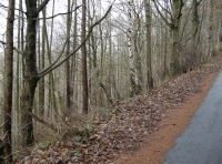 Frontage on to minor road