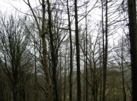 Southern boundary