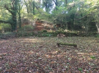 Coed Bodfan - Bodfan Wood