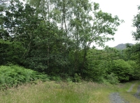 Coed Buarth - Buarth Wood - SOLD photo 4