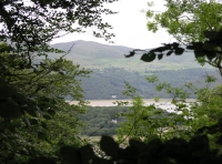 Coed Buarth - Buarth Wood - SOLD photo 6