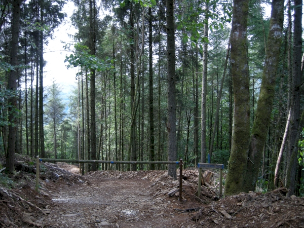 Coed Cerrig Coch - Red Rock Wood
