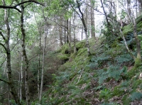 Coed Cerrig Coch - Red Rock Wood photo 4