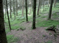 Close to the road boundary to the north